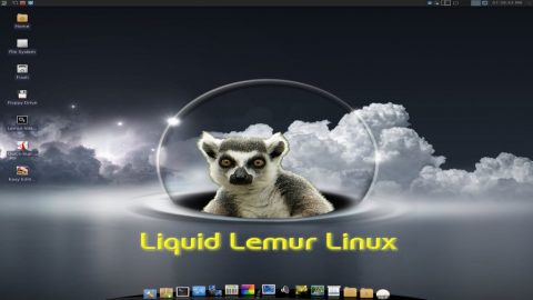 Latest Lemur News
